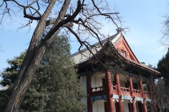 Pre-departure Tips: Peking University Spring